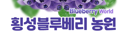 (로고) 홈으로 가기