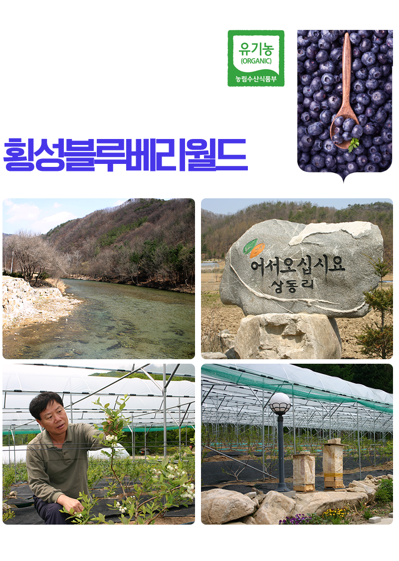 PC 배경 좌측 배너