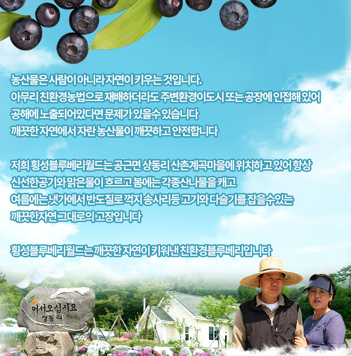 메인 중간 배너1