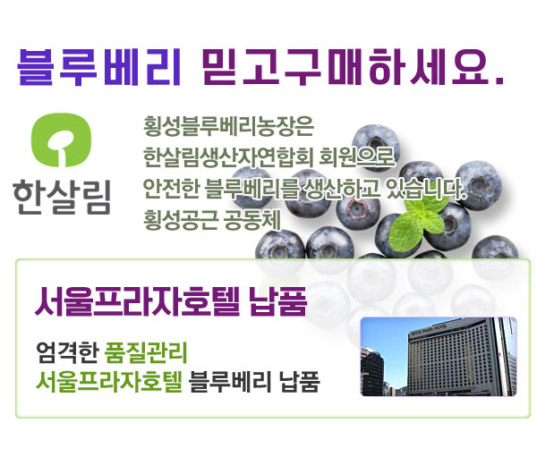 메인 중간 배너2