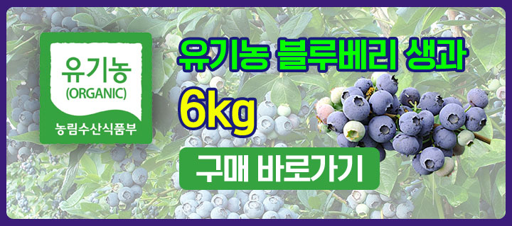 메인 중간 배너5
