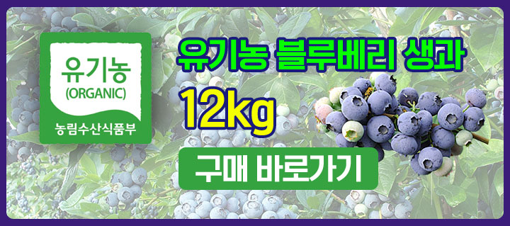 메인 하단 배너
